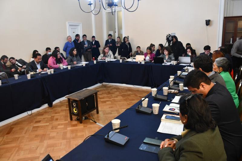 Agencia Uno - Comisión del Consejo Constitucional