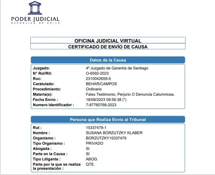 La querella de Fernando Felicevich contra Matías Campos Toro - Créditos: El Desconcierto