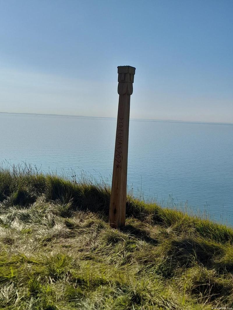 La reserva natural de Capel-Le-Ferne fue adquirida por Kent Wildlife Trust para proteger una sección de los famosos Acantilados Blancos de Dover.