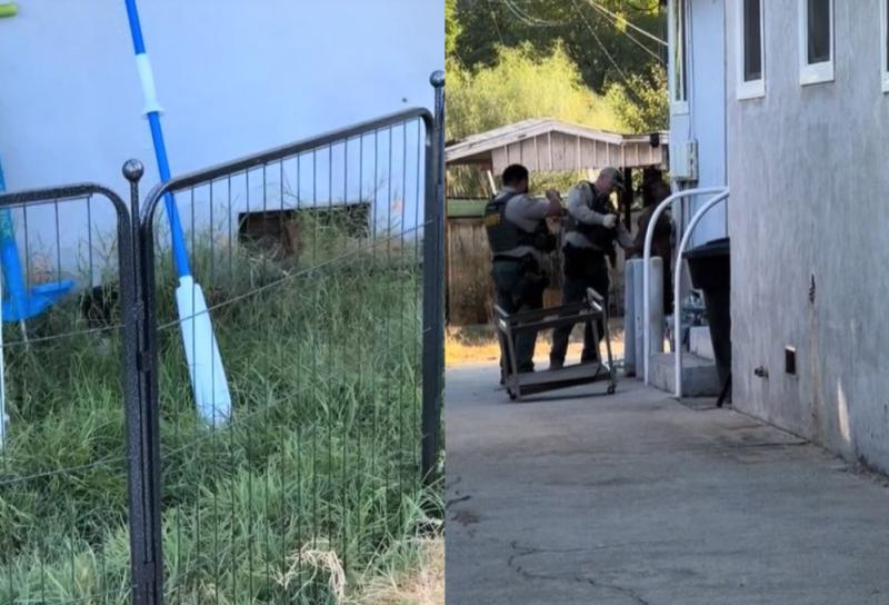 Tik Tok - Mujer descubrió a hombre viviendo en su sótano