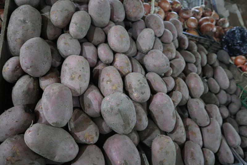 Agencia Uno - Papas en Chile