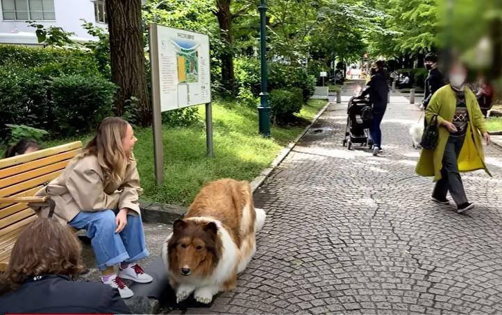 Captura Youtube - Perro humano