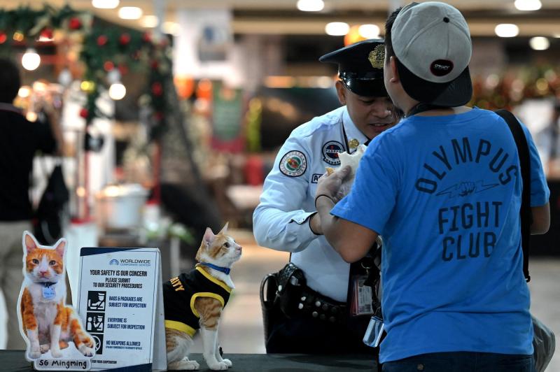 AFP - Conan junto a la imagen de su predecesor, Mingming.
