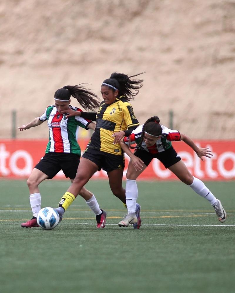 Coquimbo Unido dio la gran sorpresa y clasificó a semifinales - Créditos: Palestino