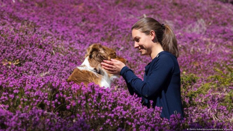 Los perros parecen ser especialmente susceptibles al "lenguaje de bebé".