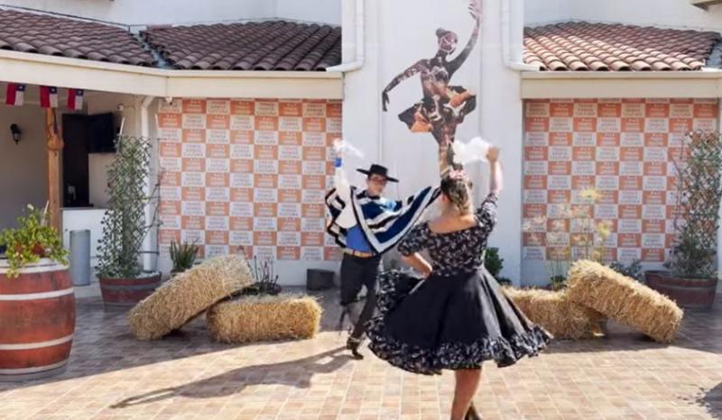 Captura Youtube T13 - tutorial cueca