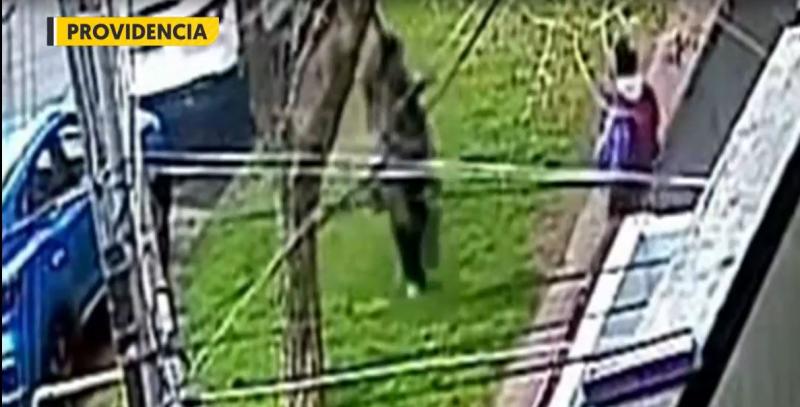 T13 - Con armas asaltan a madre y sus dos hijas en Providencia