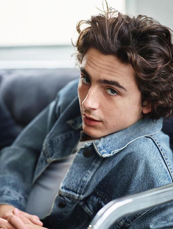 Timothée Chalamet, el nuevo amor de Kylie Jenner.