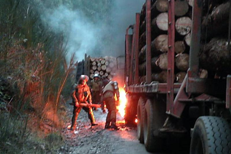 Agencia Uno - Ley de Usurpaciones