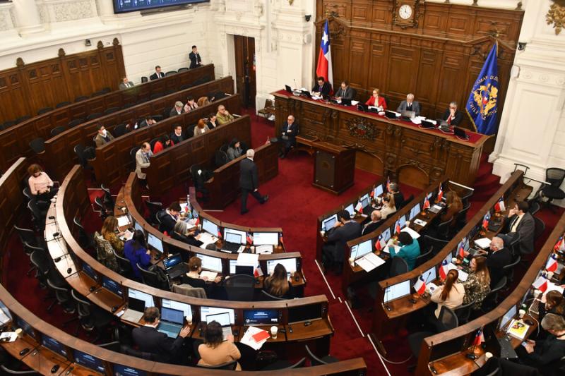 Agencia Uno - Consejo Constitucional