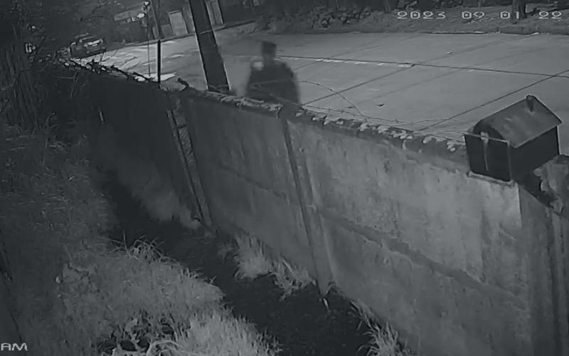 Revelan imágenes de sospechoso dejando bolsa con cuerpo de mujer descuartizada en Los Ángeles: Está detenido