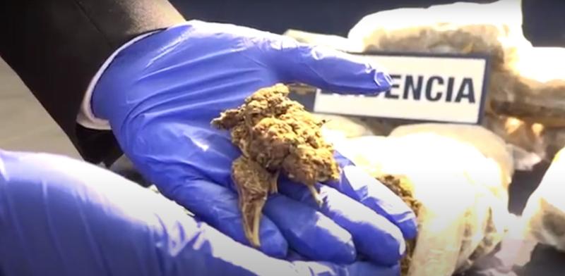 Tenían un altar con ofrendas a la "virgen negra": PDI detuvo a cinco personas por tráfico de drogas