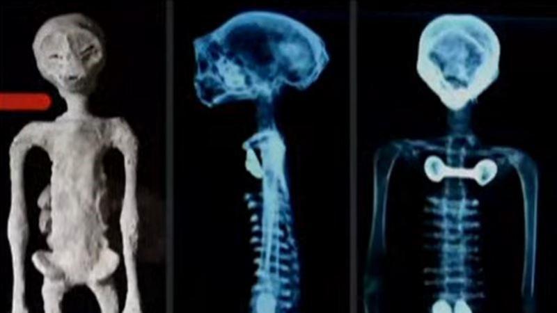 Congreso de México - Exhiben supuestos extraterrestres de mil años de antigüedad