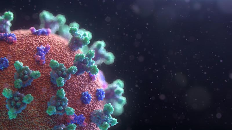 Unplash Fusion Medical Animation - Virus