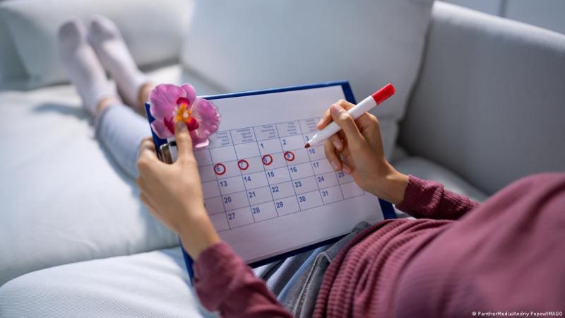 Deutsche Welle - Hormonas y cerebro. Imagen: PantherMedia/Andriy Popov/IMAGO