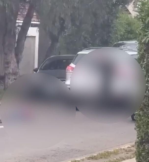 T13 - Homicidio en Padre Hurtado