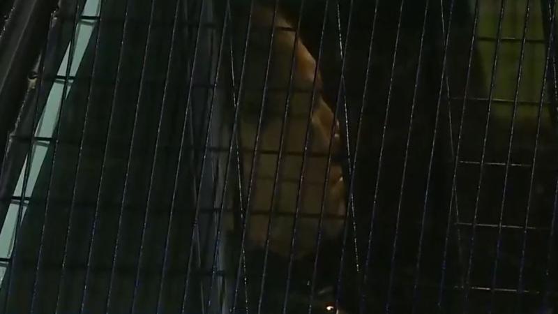 T13 - Conductor drogado es detenido en Las Condes