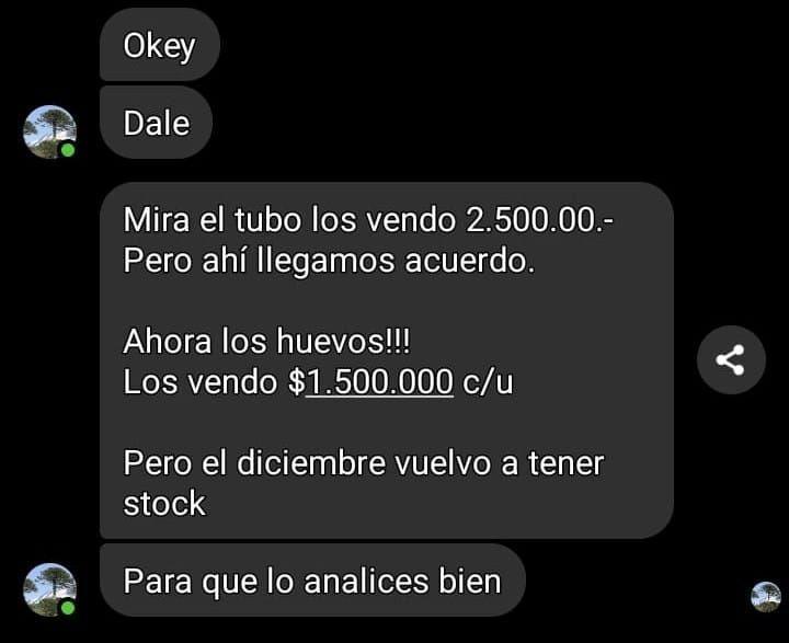 Cedida - Cinco militares detenidos por venta de lanzacohetes