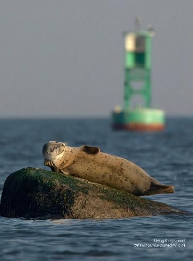 Captura de Instagram @comedywildlifephoto - Imagen finalista del Comedy Wildlife Photo Awards