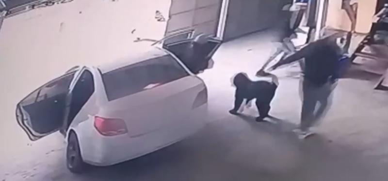 T13 - Banda criminal Los Pulpos