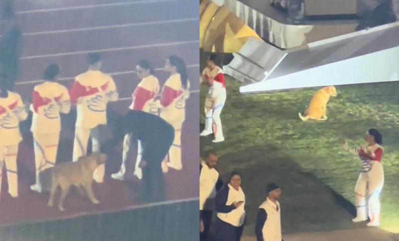 TikTok (@jovenquijada) - Perrito en ceremonia inaugural de Santiago 2023