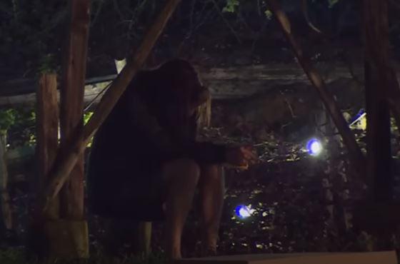 Canal 13 - Botota llora en Tierra Brava