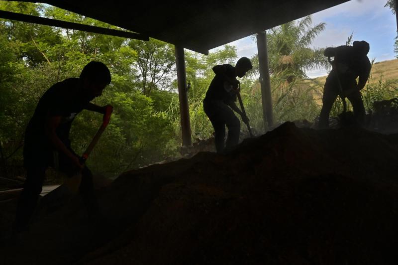 AFP - Trabajadores agrícolas en Oaxaca, México