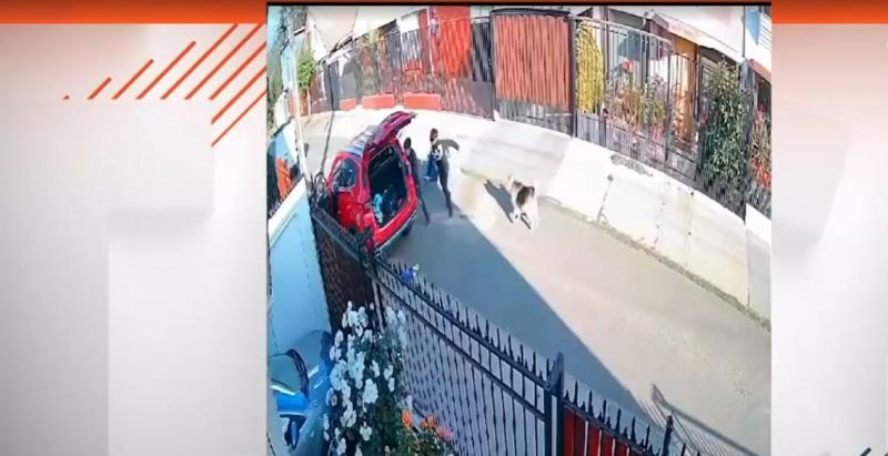 T13 - Violencia y asaltos en Viña del Mar