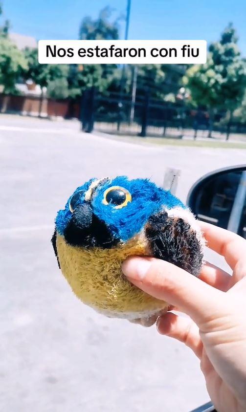 Captura - El Fiu falso que compraron.