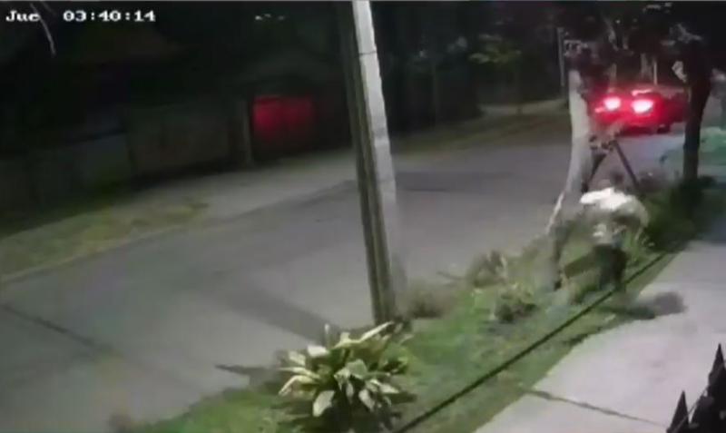 Cámaras de seguridad - La Reina