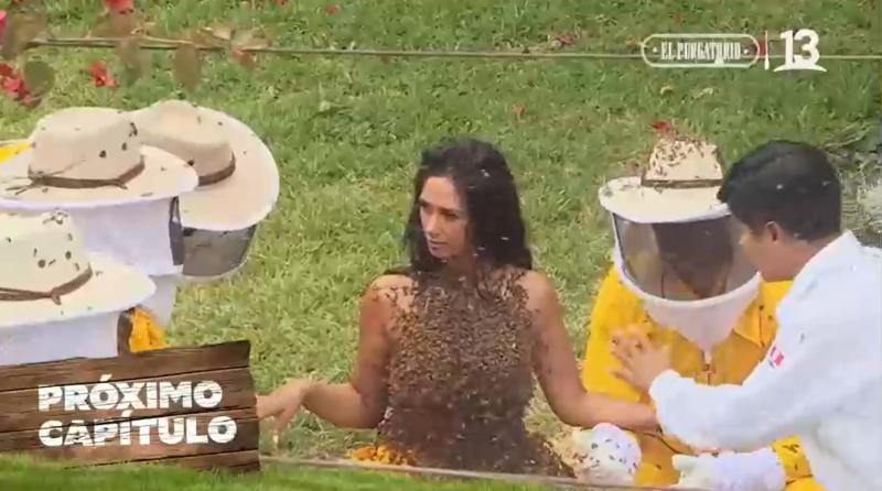 Canal 13 - Pamela Díaz cubierta de abejas en Tierra Brava