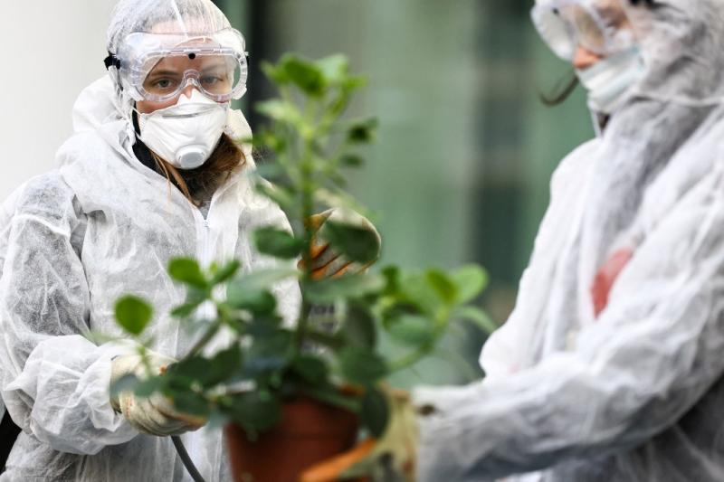 AFP - Monsanto condenado en EEUU a pagar USD 857 millones por químicos en una escuela