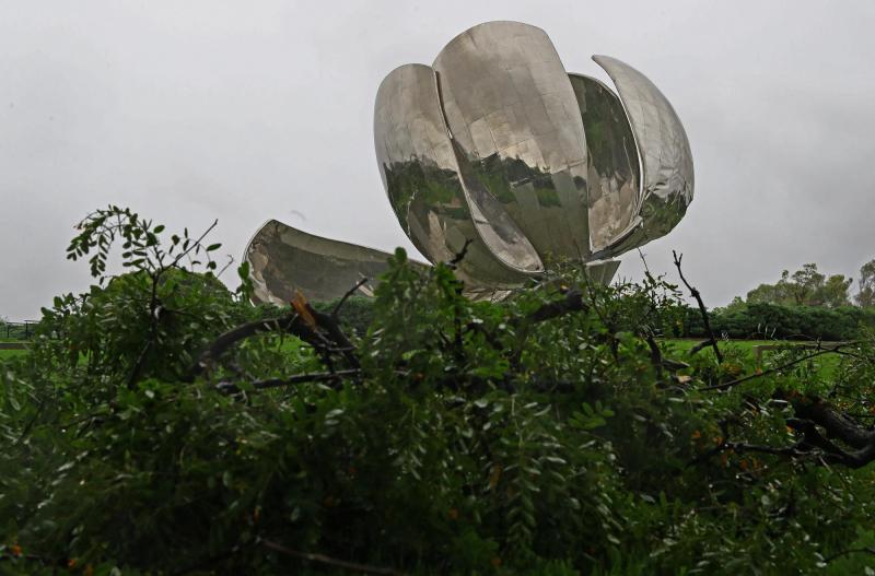 Floralis Generica, símbolo de Argentina colapsó con los vientos - AFP