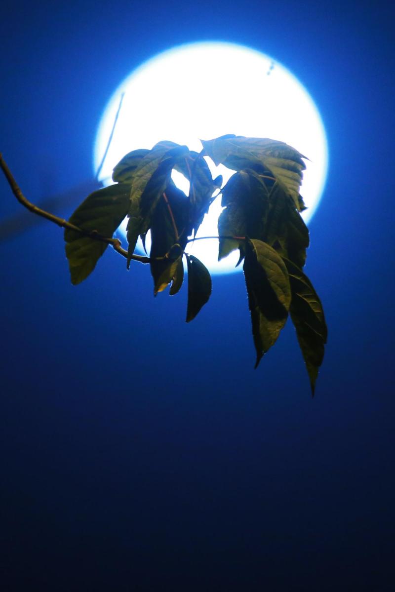 Agencia Uno - Referencial de la Luna.