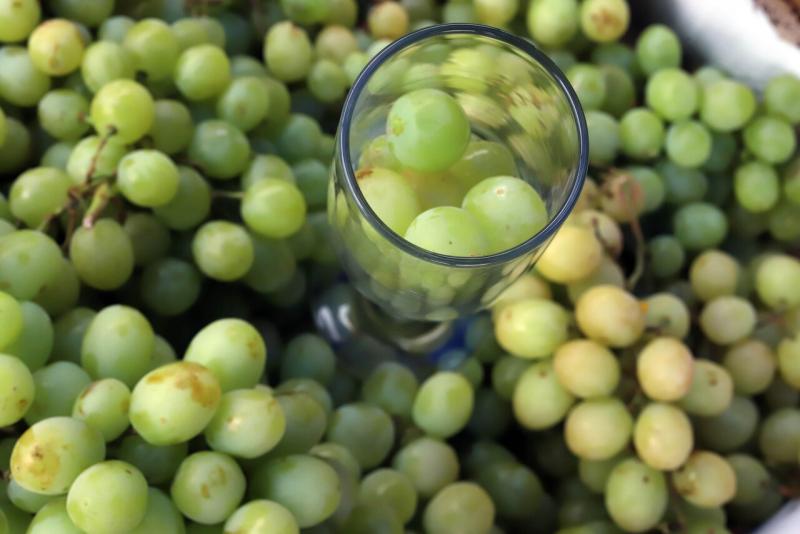 Agencia Uno - Comer uvas, una de las cábalas clásicas de Año Nuevo