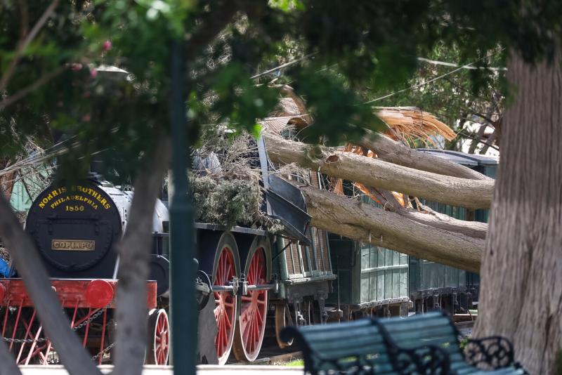 Agencia Uno - Fuertes vientos causan estragos en Copiapó: Árbol cayó sobre histórica locomotora