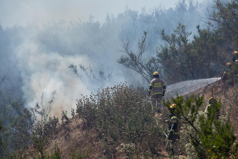 Agencia Uno (Referencial) - Alerta Temprana Preventiva en Valparaíso por incendios forestales