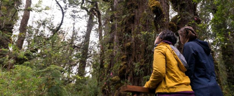 Sernatur - Chile gana premio a Mejor Destino Verde del Mundo