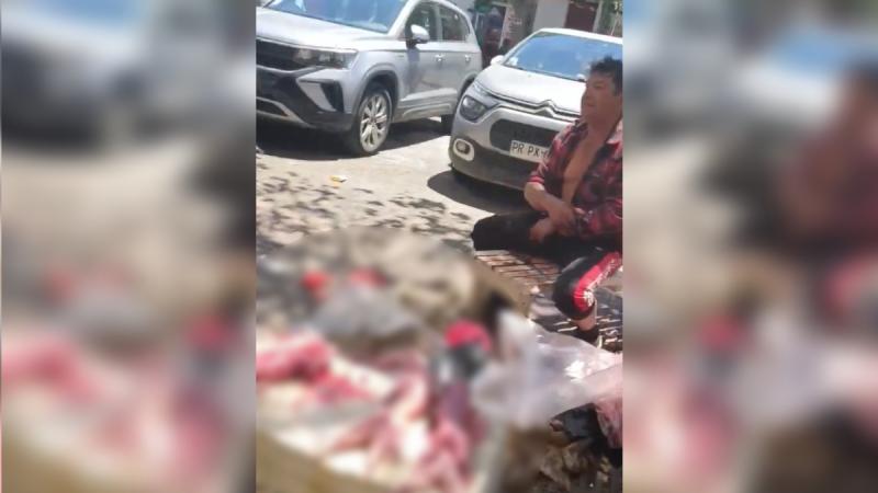 Twitter - Captan a sujeto vendiendo conejos faenados