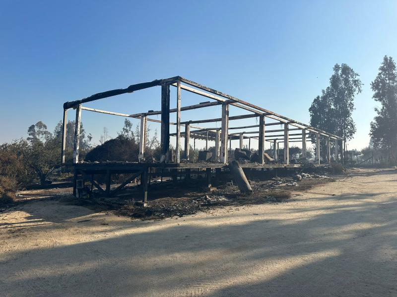 Imagen cedida por la Municipalidad de Limache