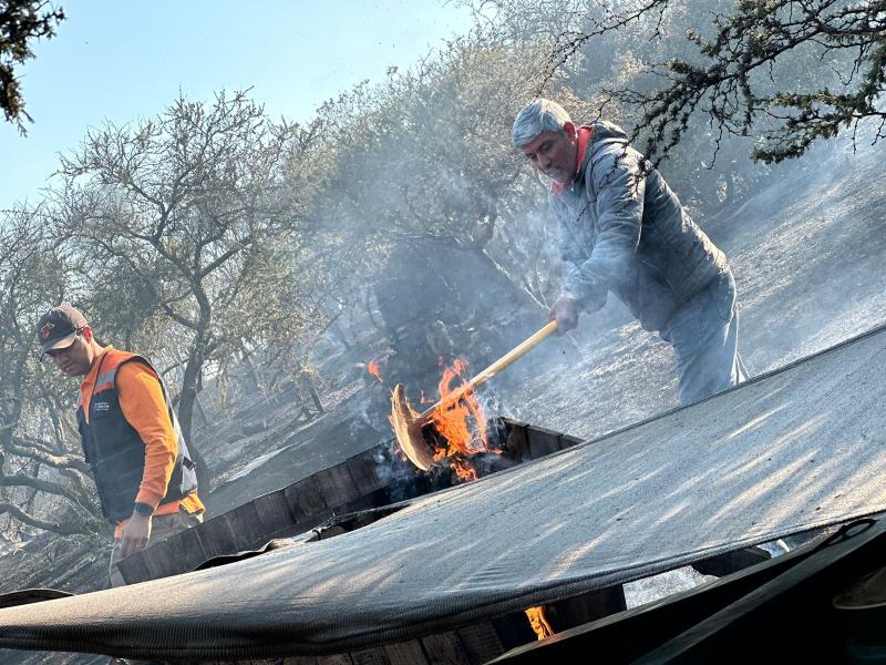 Imagen cedida por la Municipalidad de Limache