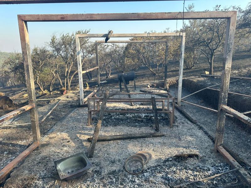 Imagen cedida por la Municipalidad de Limache