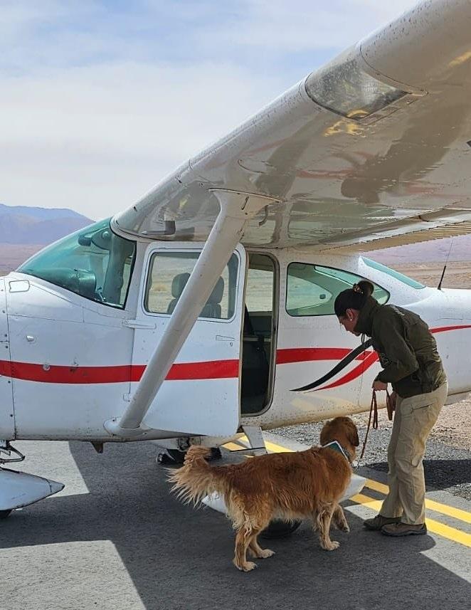 Carabineros de Antofagasta - Fiscalizan avión sin autorización