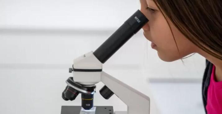 Talento Digital para Chile - Becas para estudiar cursos de tecnología