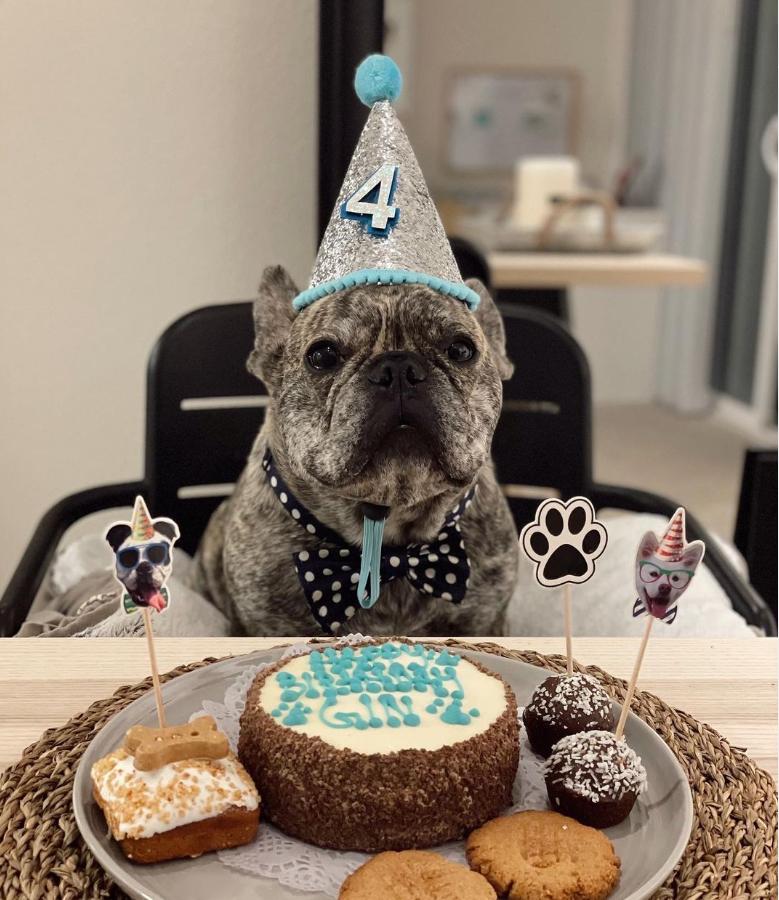 Kika Silva confirma la muerte de su perro “Gin”