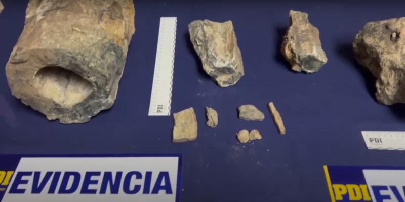PDI - Fragmentos fósiles de dinosaurios