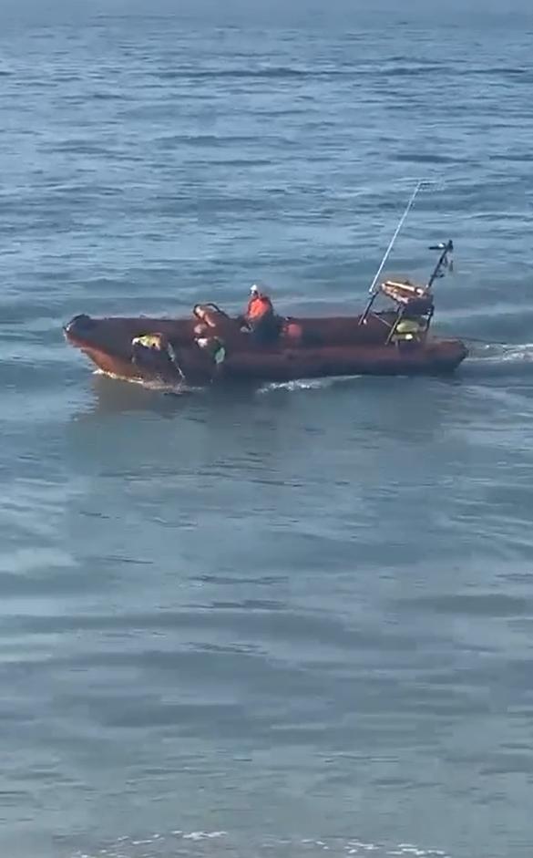 Captura - Rescate a perrito en la V región.