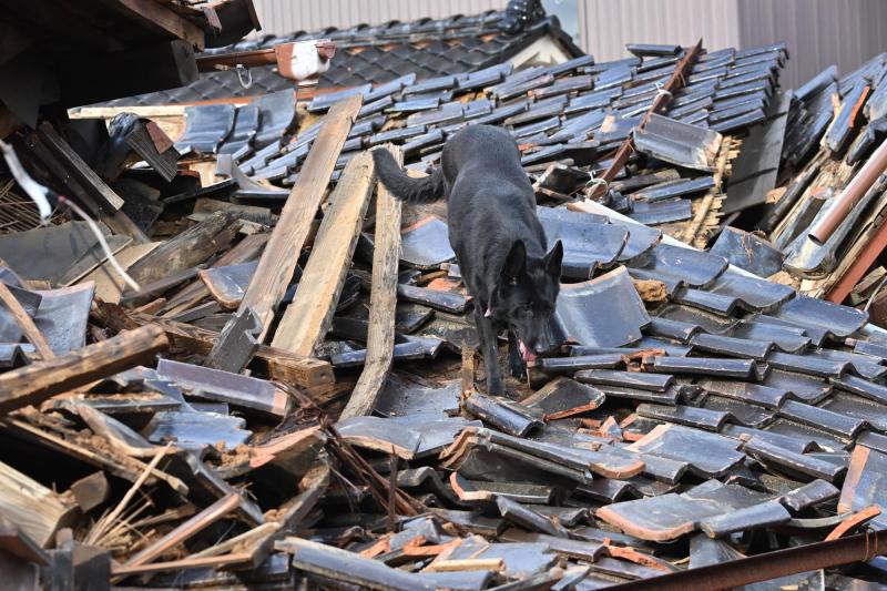 AFP - Perro rescata a anciana atrapada tras terremoto en Japón