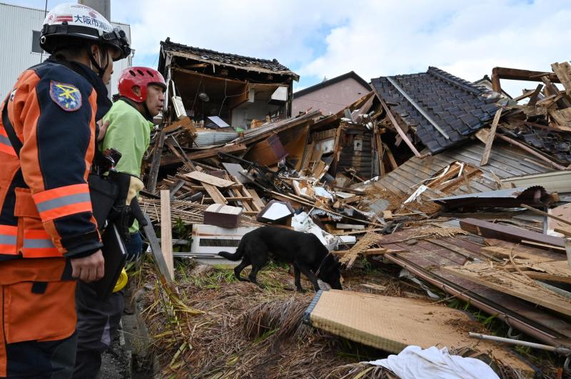AFP - Perro rescata a anciana atrapada tras terremoto en Japón