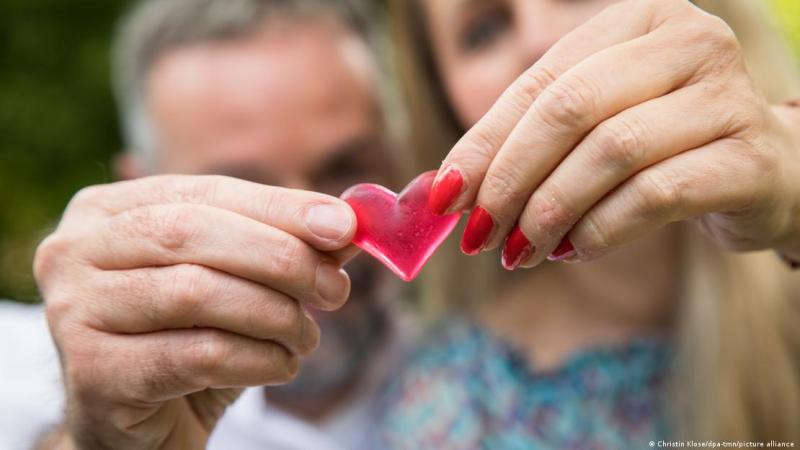 El estudio, publicado la semana pasada en la revista Current Biology, descubrió que el aumento de dopamina disminuía tras un periodo de separación. Imagen: Christin Klose/dpa-tmn/picture alliance